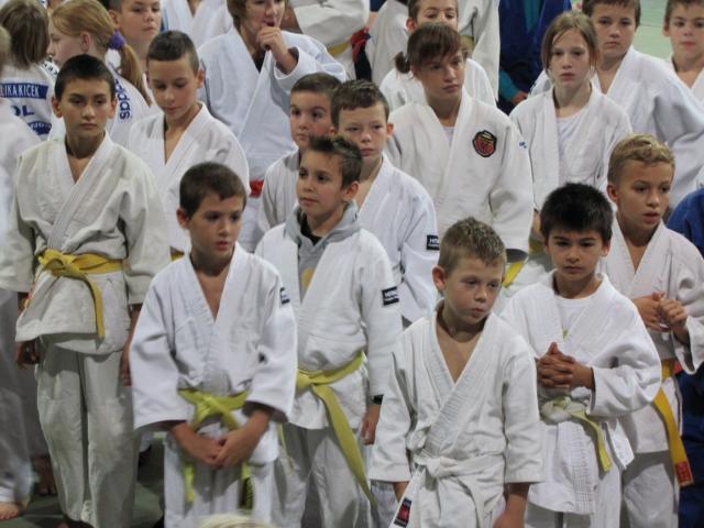 Povážská Bystrica 2013.jpg